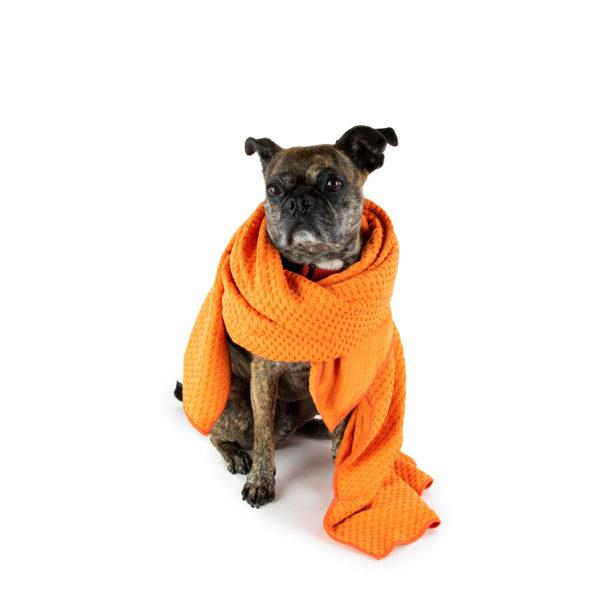 Drypet dog bath outlet towels